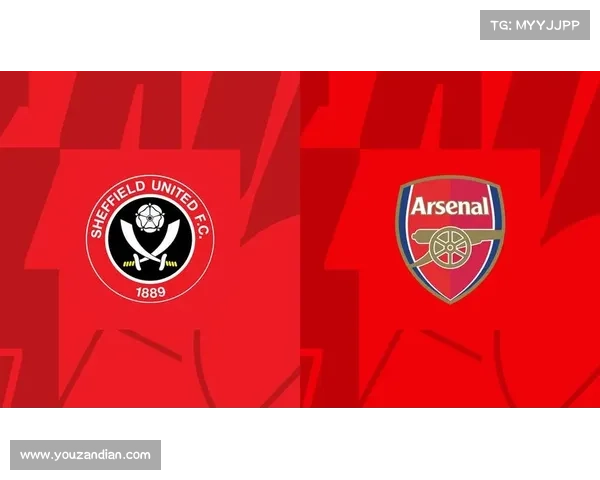 从阿森纳队徽红色象征意义解读球队勇气与历史传承之光芒璀灿辉映