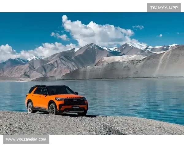 奥利塞从梦想到职业巅峰的奋斗历程与成就揭秘